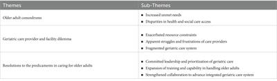 Gaps and opportunities in addressing the needs of older adults in the Philippines and Vietnam: a qualitative exploration of health and social workers’ experiences in urban care settings